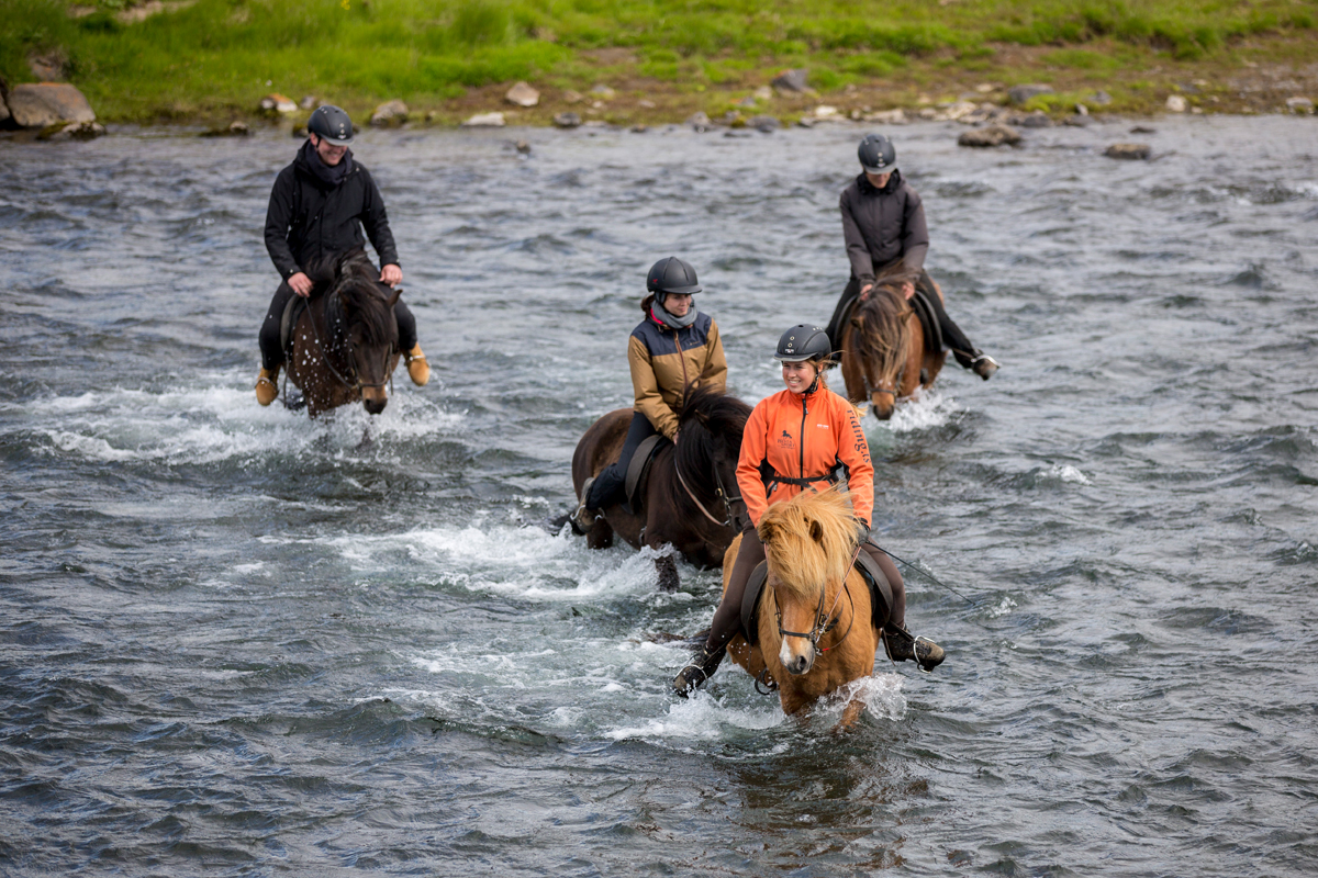 riding tours iceland horses