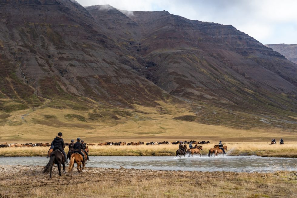 Game of Horses Hestasport